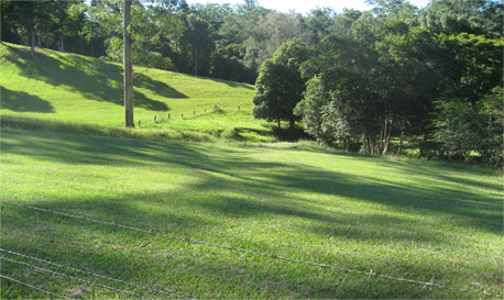 Mawarra
